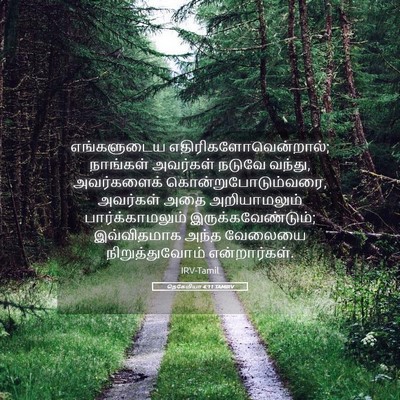 Picture 05 - நெகேமியா 4:11 TAMIRV - எங்களுடைய - Bible Verse Picture
