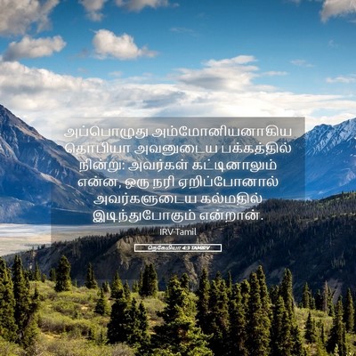 Picture 05 - நெகேமியா 4:3 TAMIRV - அப்பொழுது - Bible Verse Picture