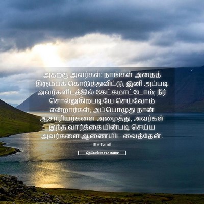 Picture 05 - நெகேமியா 5:12 TAMIRV - அதற்கு அவர்கள்: - Bible Verse Picture