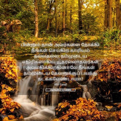 Picture 05 - நெகேமியா 5:9 TAMIRV - பின்னும் நான் - Bible Verse Picture