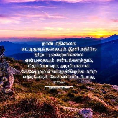 Picture 05 - நெகேமியா 6:1 TAMIRV - நான் மதிலைக் - Bible Verse Picture