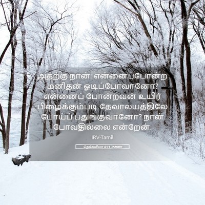 Picture 05 - நெகேமியா 6:11 TAMIRV - அதற்கு நான்: - Bible Verse Picture
