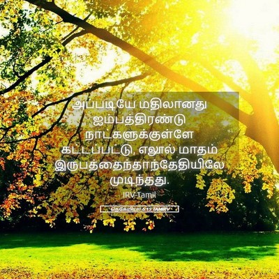 Picture 05 - நெகேமியா 6:15 TAMIRV - அப்படியே மதிலானது - Bible Verse Picture