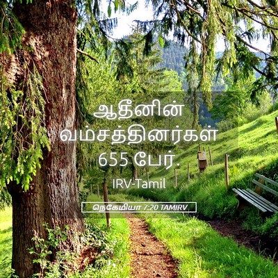 Picture 05 - நெகேமியா 7:20 TAMIRV - ஆதீனின் - Bible Verse Picture
