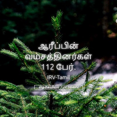 Picture 05 - நெகேமியா 7:24 TAMIRV - ஆரீப்பின் - Bible Verse Picture