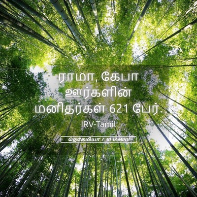 Picture 05 - நெகேமியா 7:30 TAMIRV - ராமா, கேபா - Bible Verse Picture