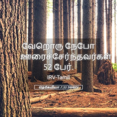 Picture 05 - நெகேமியா 7:33 TAMIRV - வேறொரு நேபோ - Bible Verse Picture