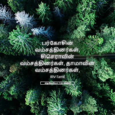 Picture 05 - நெகேமியா 7:55 TAMIRV - பர்கோசின் - Bible Verse Picture