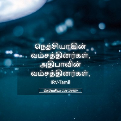 Picture 05 - நெகேமியா 7:56 TAMIRV - நெத்சியாகின் - Bible Verse Picture