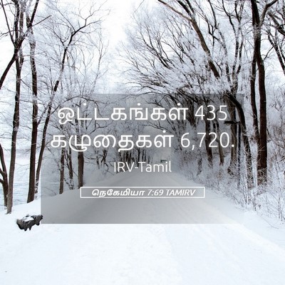 Picture 05 - நெகேமியா 7:69 TAMIRV - ஒட்டகங்கள் 435 - Bible Verse Picture