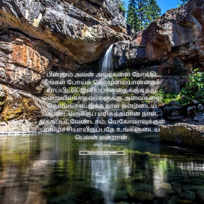 Picture 05 - நெகேமியா 8:10 TAMIRV - பின்னும் அவன் - Bible Verse Picture