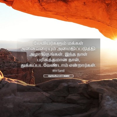 Picture 05 - நெகேமியா 8:11 TAMIRV - லேவியர்களும் - Bible Verse Picture