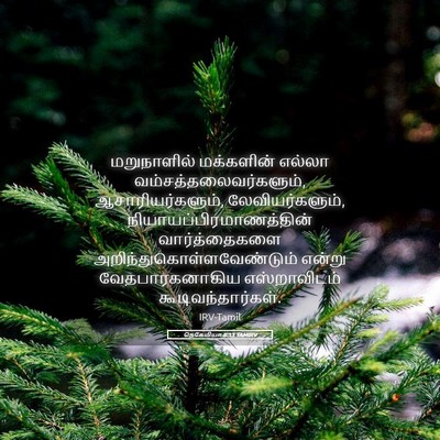 Picture 05 - நெகேமியா 8:13 TAMIRV - மறுநாளில் - Bible Verse Picture
