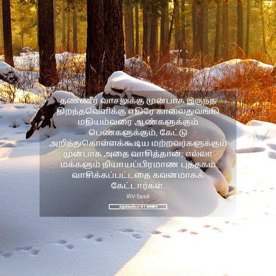 Picture 05 - நெகேமியா 8:3 TAMIRV - தண்ணீர் வாசலுக்கு - Bible Verse Picture