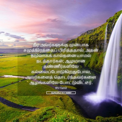 Picture 05 - நெகேமியா 9:11 TAMIRV - நீர் அவர்களுக்கு - Bible Verse Picture
