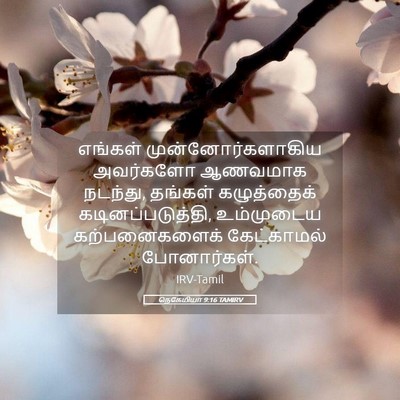 Picture 05 - நெகேமியா 9:16 TAMIRV - எங்கள் - Bible Verse Picture