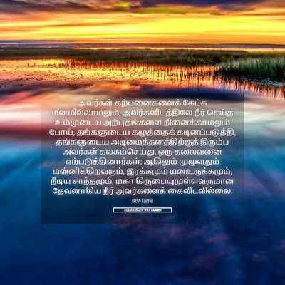 Picture 05 - நெகேமியா 9:17 TAMIRV - அவர்கள் - Bible Verse Picture