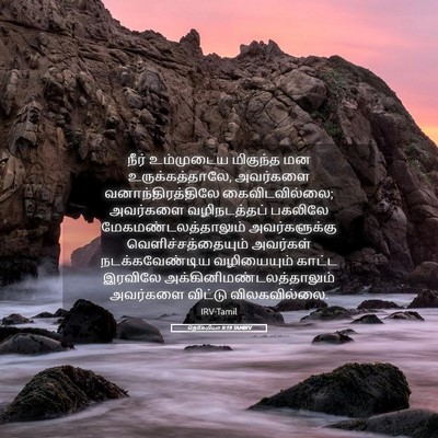 Picture 05 - நெகேமியா 9:19 TAMIRV - நீர் உம்முடைய - Bible Verse Picture