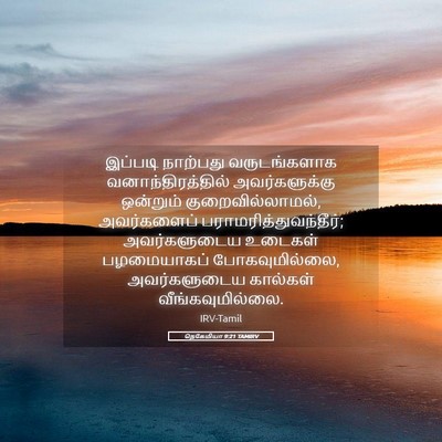 Picture 05 - நெகேமியா 9:21 TAMIRV - இப்படி நாற்பது - Bible Verse Picture