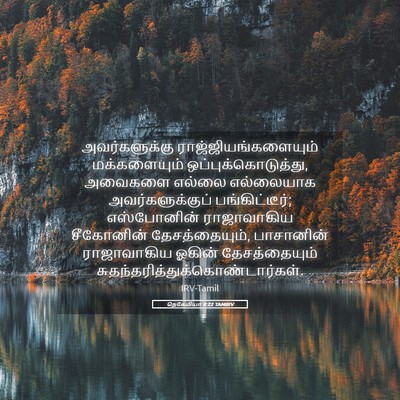 Picture 05 - நெகேமியா 9:22 TAMIRV - அவர்களுக்கு - Bible Verse Picture