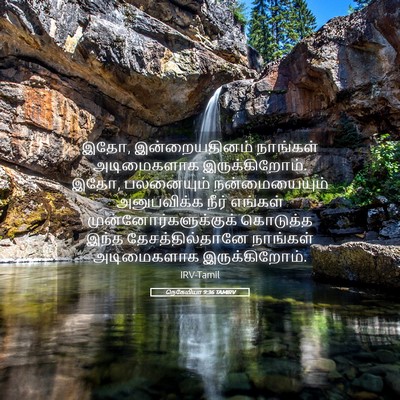 Picture 05 - நெகேமியா 9:36 TAMIRV - இதோ, இன்றையதினம் - Bible Verse Picture