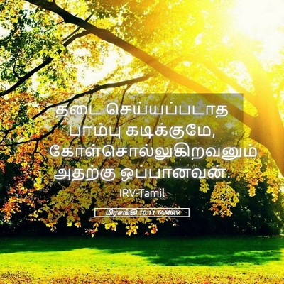 Picture 05 - பிரசங்கி 10:11 TAMIRV - தடை செய்யப்படாத - Bible Verse Picture