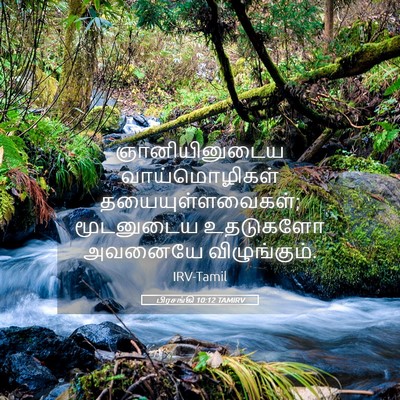 Picture 05 - பிரசங்கி 10:12 TAMIRV - ஞானியினுடைய - Bible Verse Picture