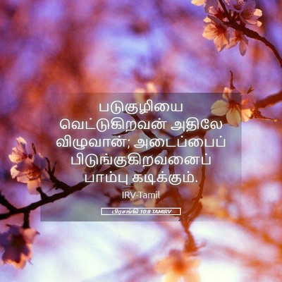 Picture 05 - பிரசங்கி 10:8 TAMIRV - படுகுழியை - Bible Verse Picture