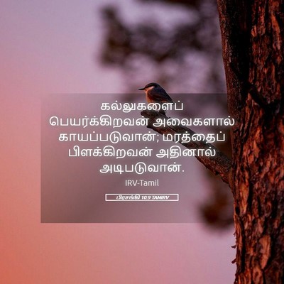 Picture 05 - பிரசங்கி 10:9 TAMIRV - கல்லுகளைப் - Bible Verse Picture