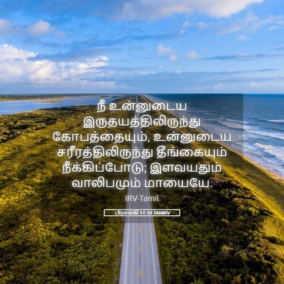 Picture 05 - பிரசங்கி 11:10 TAMIRV - நீ உன்னுடைய - Bible Verse Picture