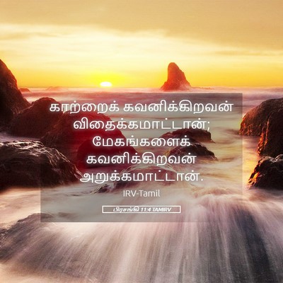 Picture 05 - பிரசங்கி 11:4 TAMIRV - காற்றைக் - Bible Verse Picture