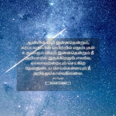 Picture 05 - பிரசங்கி 11:5 TAMIRV - ஆவியின் வழி - Bible Verse Picture