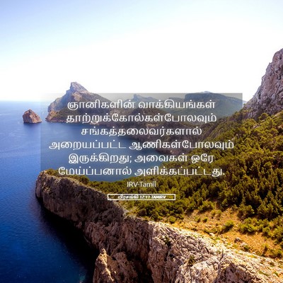 Picture 05 - பிரசங்கி 12:11 TAMIRV - ஞானிகளின் - Bible Verse Picture