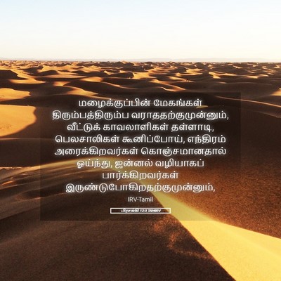 Picture 05 - பிரசங்கி 12:3 TAMIRV - மழைக்குப்பின் - Bible Verse Picture