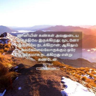 Picture 05 - பிரசங்கி 2:14 TAMIRV - ஞானியின் கண்கள் - Bible Verse Picture