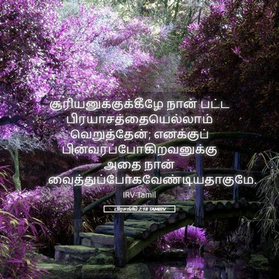 Picture 05 - பிரசங்கி 2:18 TAMIRV -  - Bible Verse Picture