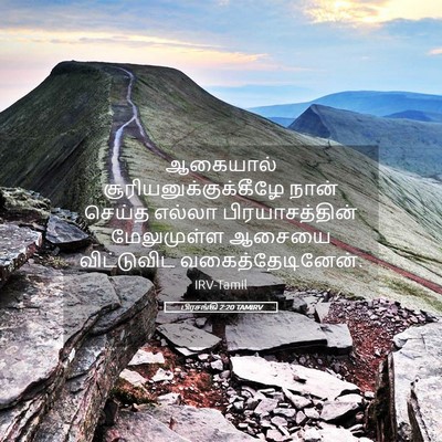 Picture 05 - பிரசங்கி 2:20 TAMIRV - ஆகையால் - Bible Verse Picture