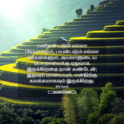 Picture 05 - பிரசங்கி 4:4 TAMIRV - மனிதன் படும் - Bible Verse Picture