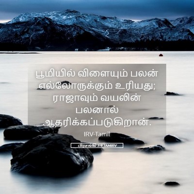 Picture 05 - பிரசங்கி 5:9 TAMIRV - பூமியில் விளையும் - Bible Verse Picture