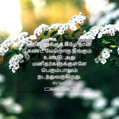 Picture 05 - பிரசங்கி 6:1 TAMIRV - சூரியனுக்குக் - Bible Verse Picture