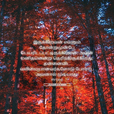 Picture 05 - பிரசங்கி 6:10 TAMIRV - இருக்கிறவன் - Bible Verse Picture