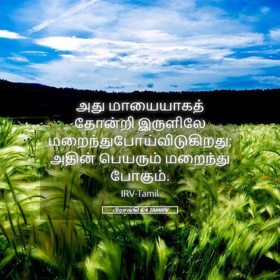 Picture 05 - பிரசங்கி 6:4 TAMIRV - அது மாயையாகத் - Bible Verse Picture