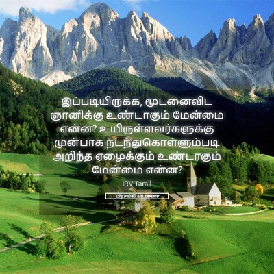 Picture 05 - பிரசங்கி 6:8 TAMIRV - இப்படியிருக்க, - Bible Verse Picture