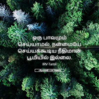 Picture 05 - பிரசங்கி 7:20 TAMIRV - ஒரு பாவமும் - Bible Verse Picture