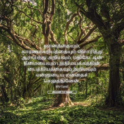 Picture 05 - பிரசங்கி 7:25 TAMIRV - ஞானத்தையும், - Bible Verse Picture