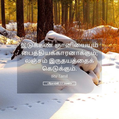 Picture 05 - பிரசங்கி 7:7 TAMIRV - இடுக்கண் - Bible Verse Picture