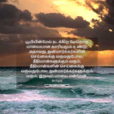 Picture 05 - பிரசங்கி 8:14 TAMIRV - பூமியின்மேல் - Bible Verse Picture