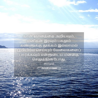Picture 05 - பிரசங்கி 8:16 TAMIRV - நான் ஞானத்தை - Bible Verse Picture
