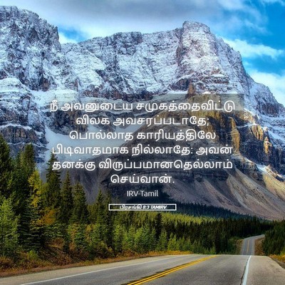 Picture 05 - பிரசங்கி 8:3 TAMIRV - நீ அவனுடைய - Bible Verse Picture