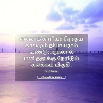 Picture 05 - பிரசங்கி 8:6 TAMIRV - எல்லாக் - Bible Verse Picture